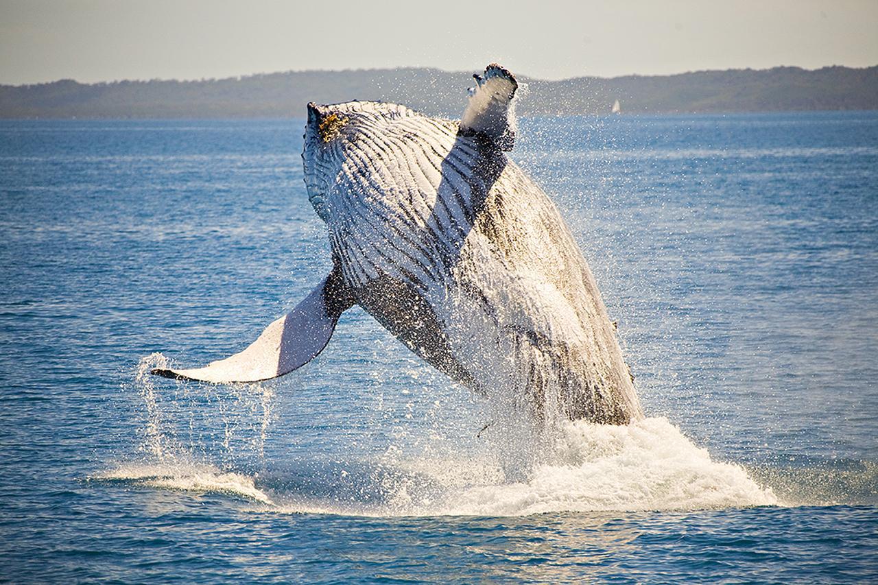 Ingenia Holidays Hervey Bay Bagian luar foto